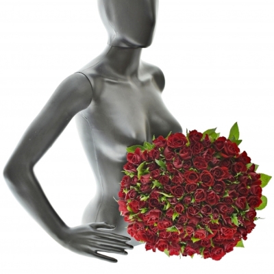 Kytice 100 červených růží RHYTHM 50cm