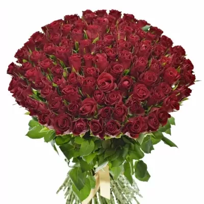Kytice 100 červených růží SAMOURAI 40cm