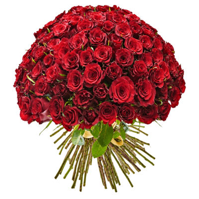 Kytice 100 červených růží SIMPLY RED