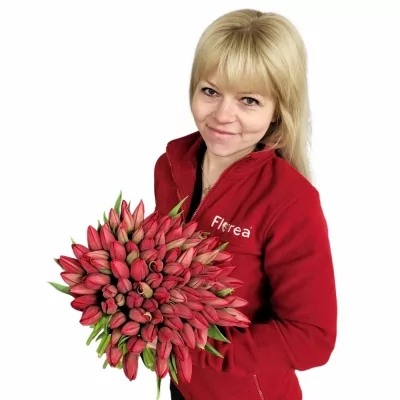 Kytice 100 červených tulipánů Rina