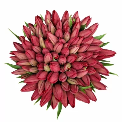 Kytice 100 červených tulipánů RINA 35 cm