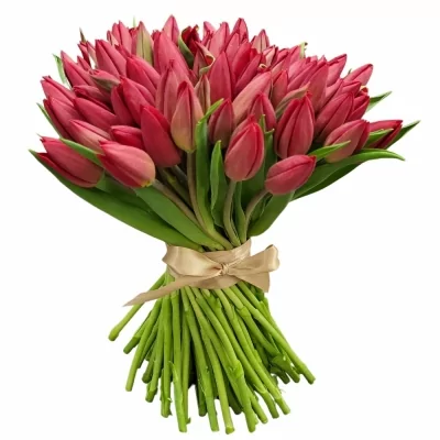 Kytice 100 červených tulipánů Rina