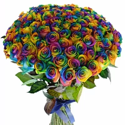 Kytica 100 dúhových ruží RAINBOW 65cm