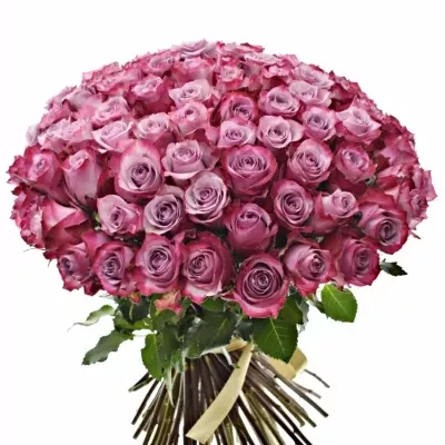 Kytice 100 fialových růží DEEP PURPLE 50cm