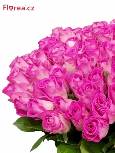 100 jednodruhových růžových růží H3O 70 cm v kytici