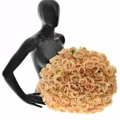 Kytice 100 krémových růží PEARL AVALANCHE+ 50cm