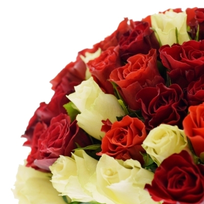 Kytice 100 ks míchaných růží ALISA 35cm