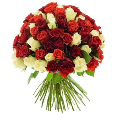 Kytice 100 ks míchaných růží ALISA 35cm