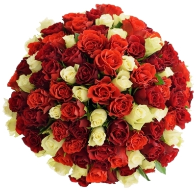 Kytice 100 ks míchaných růží ALISA 35cm