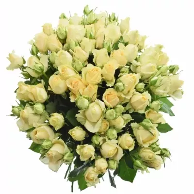 Kytice 100+ květů míchaná ABIRA