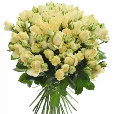 Kytice 100+ květů míchaná ABIRA