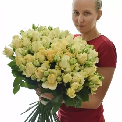 Kytice 100+ květů míchaná ABIRA