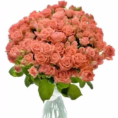 Kytice 100+ květů růží BARBADOS 50cm