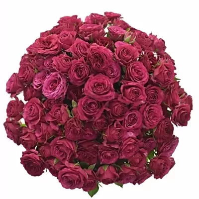 Kytica 100+ kvetov ruží CHEYENNE 40cm
