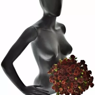 Kytice 100+ květů růží CHOCOCCINO 40cm