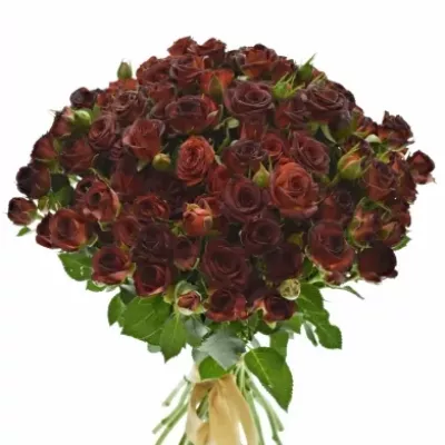 Kytice 100+ květů růží CHOCOCCINO 40cm