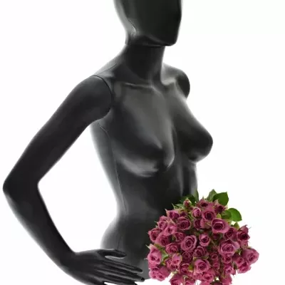 Kytice 100+ květů růží FICTION 60cm/7+