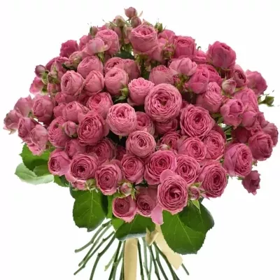 Kytice 100+ květů růží GISELLE 50cm