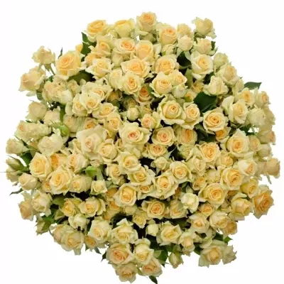Kytice 100+ květů růží JELENA 40 cm