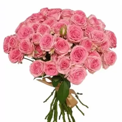 Kytice 100+ květů růží KATE-LYNN PINK 50cm