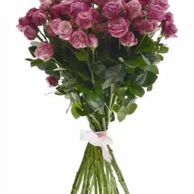 Kytice 100+ květů růží LADY BOMBASTIC 60cm