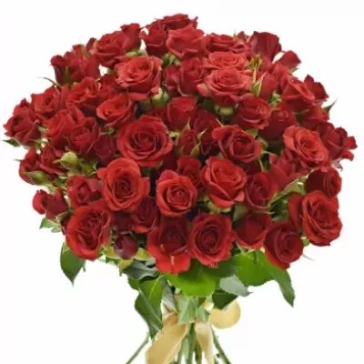 Kytica 100+ kvetov ruží MIRABEL 50cm