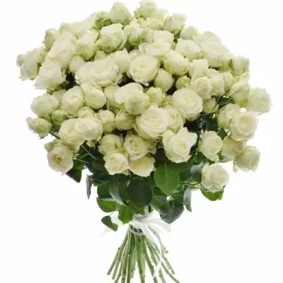 Kytice 100+ květů růží MISS BOMASTIC