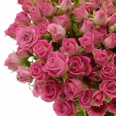 Kytice 100+ květů růží NATHALIE