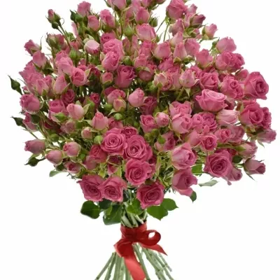 Kytice 100+ květů růží NATHALIE