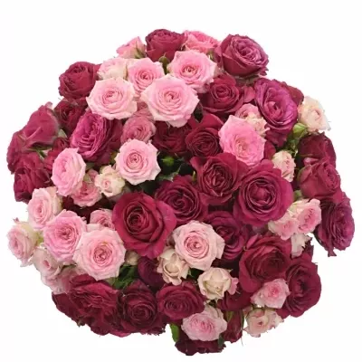 Kytice 100+ květů růží PICASSA 40cm