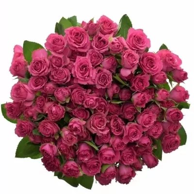 Kytice 100+ květů růží PURPLE IRISCHKA 50cm