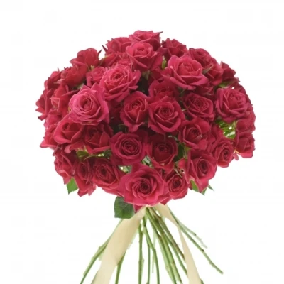 Kytice 100+ květů růží QUINCY 40cm