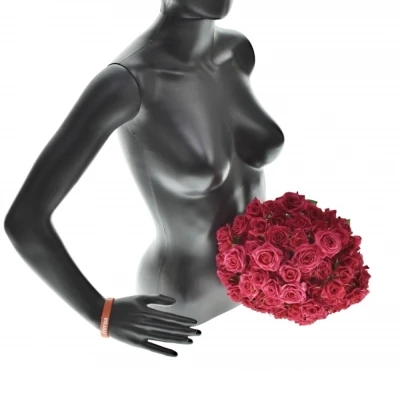 Kytice 100+ květů růží QUINCY 40cm