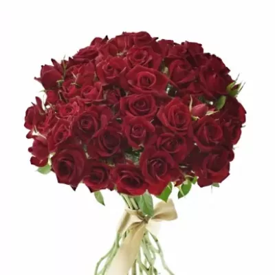 Kytice 100+ květů růží RUBICON 40cm