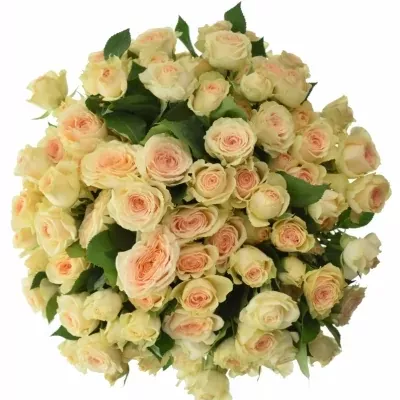 Kytica 100+ kvetov ruží Sancerre 40cm