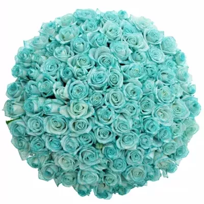 Kytice 100 ledově modrých růží ICE BLUE VENDELA 90cm