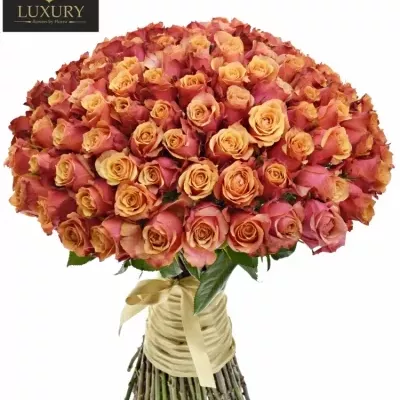 Kytice 100 luxusních růží CHERRY BRANDY 70cm