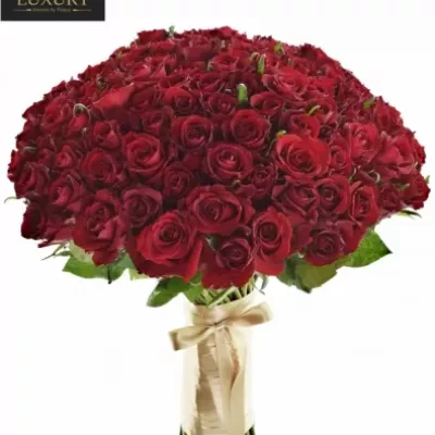 Kytice 100 luxusních růží EVER RED 100cm