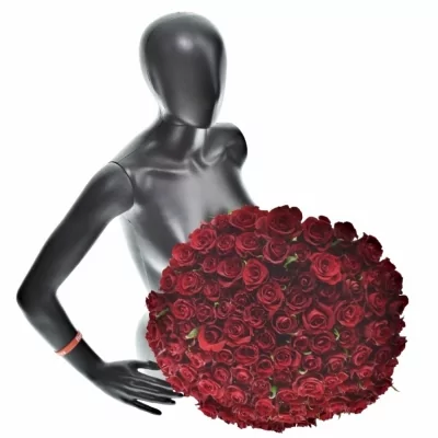 Kytice 100 luxusních růží EVER RED