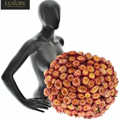 Kytice 100 luxusních růží HURICANE 60cm
