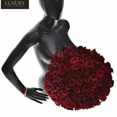 Kytice 100 luxusních růží MENDOZA
