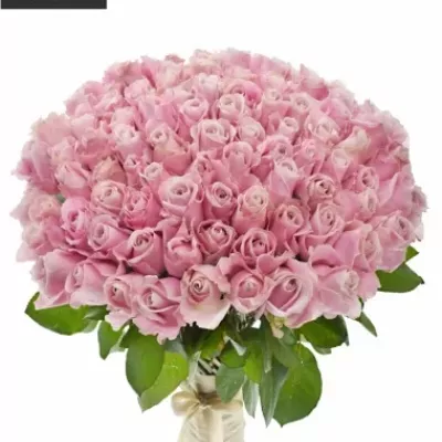 Kytice 100 luxusních růží PINK AVALANCHE+ 70cm