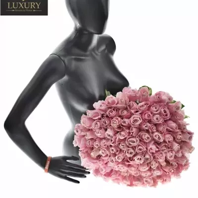 Kytice 100 luxusních růží PINK AVALANCHE+ 70cm