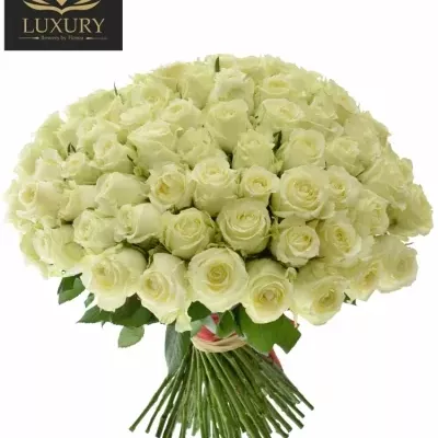 Kytice 100 luxusních růží QUEEN OF AFRICA XL