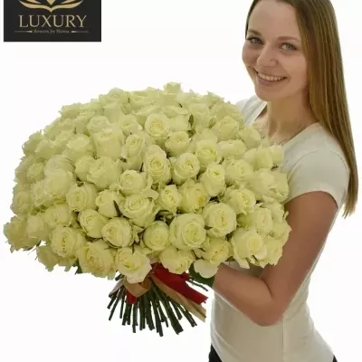 Kytice 100 luxusních růží QUEEN OF AFRICA XL