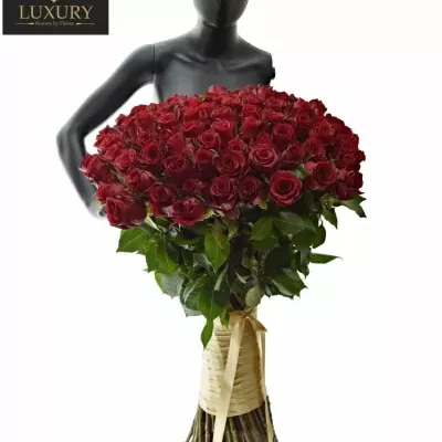 Kytice 100 luxusních růží RED LION 50cm