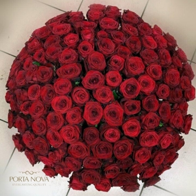 Kytica 100 červených ruží RED NAOMI! 90cm