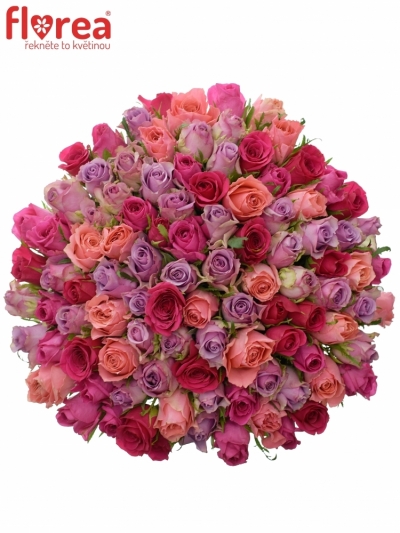 Kytice 100 míchaných růží ABERA 60cm