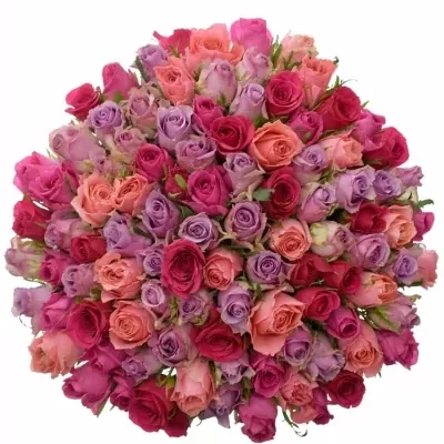 100 míchaných vícebarevných růží ABERA 50 cm v kytici