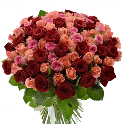 Kytice 100 míchaná ASTERRIA 50cm